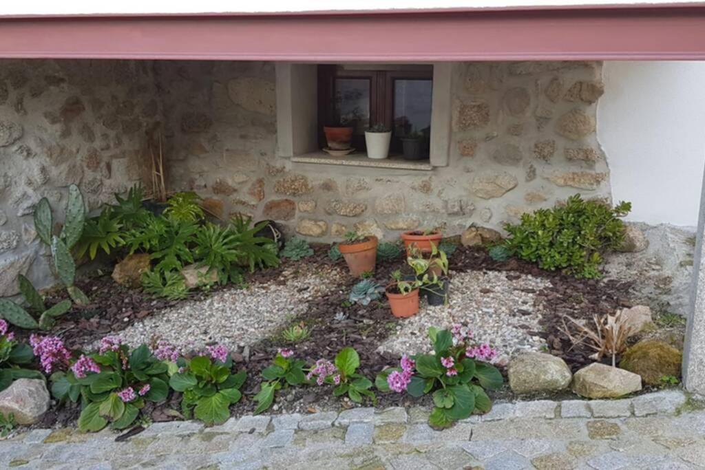 הוילה Moimenta da Serra Casa Bento Moura Portugal מראה חיצוני תמונה