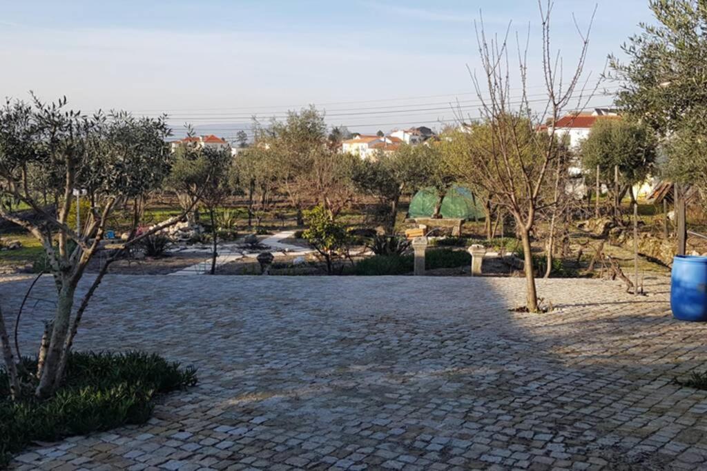 הוילה Moimenta da Serra Casa Bento Moura Portugal מראה חיצוני תמונה